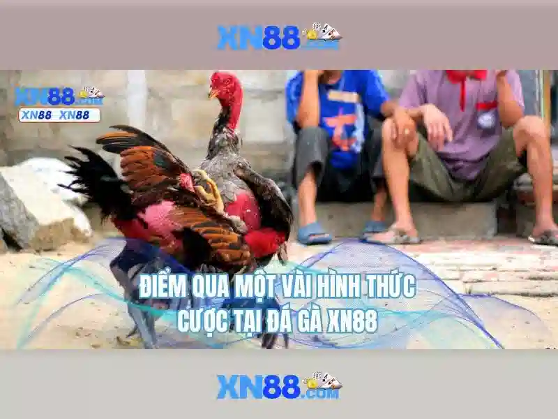 💎cá cược bóng đá trực tuyế💎 💎cá cược bóng đá trực tuyế💎