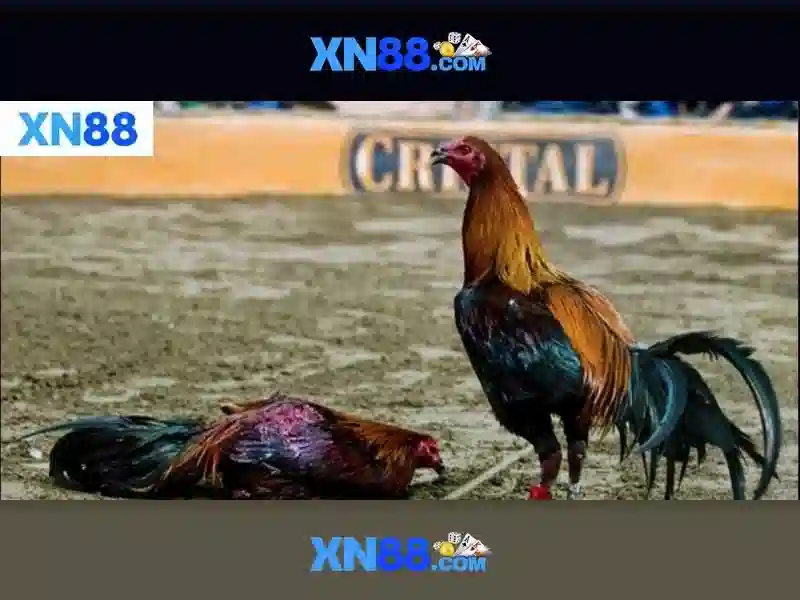 💎hard rock slots bonus💎 💎hard rock slots bonus💎