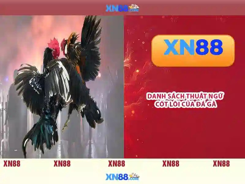 💎trang ca cuoc bong da 157.230💎 💎trang ca cuoc bong da 157.230💎