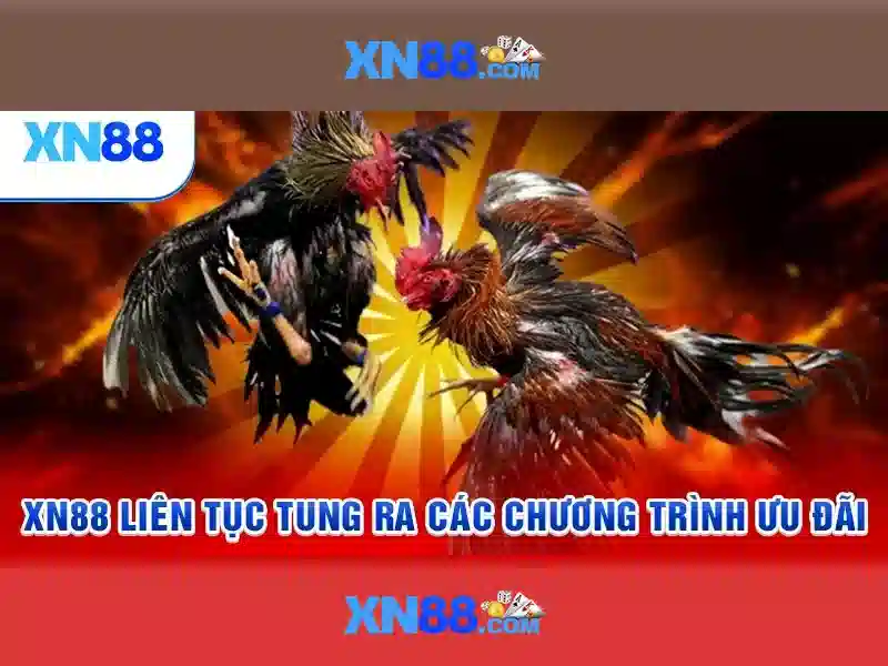 sảnh game - xn88 sảnh game - xn88