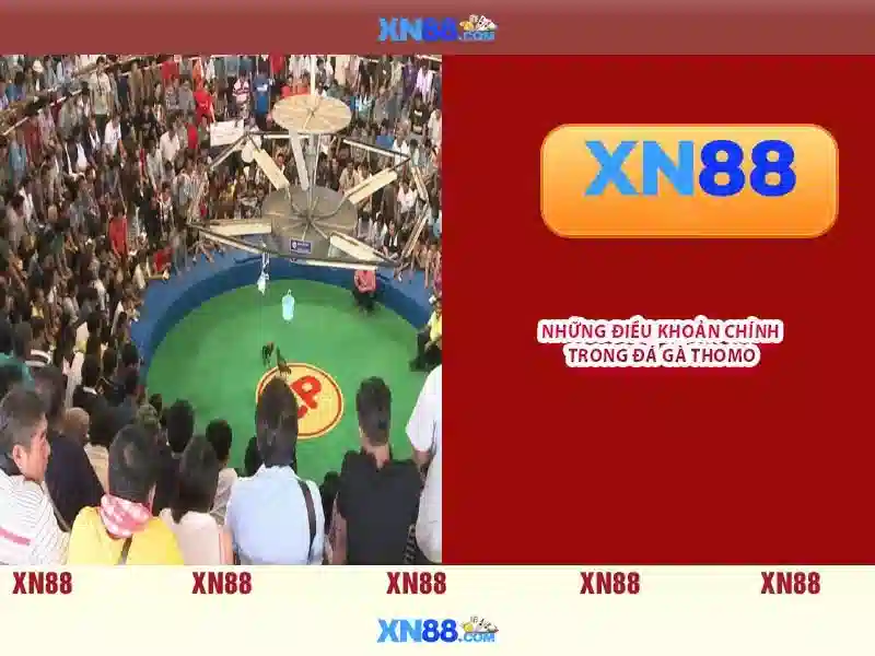 sảnh Slot - xn88 sảnh Slot - xn88