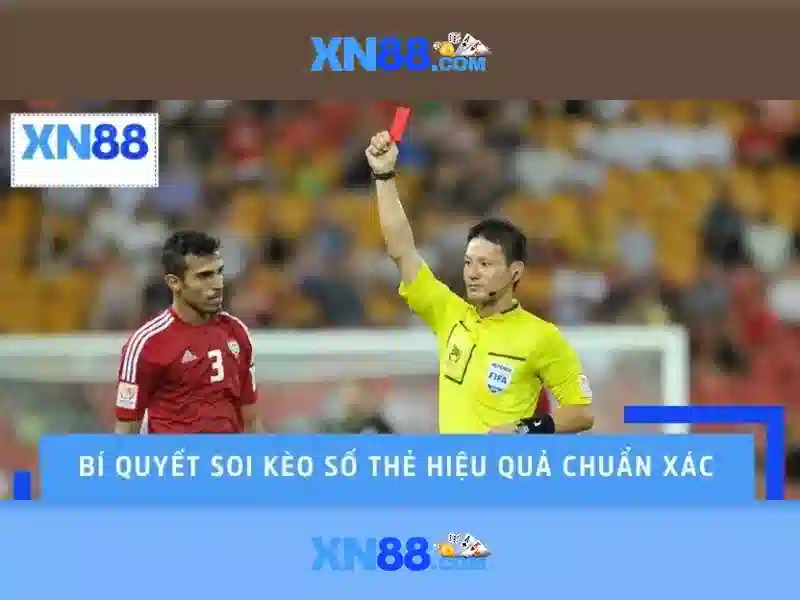 💎nhà xe hoàn sport lào cai yên bái💎 💎nhà xe hoàn sport lào cai yên bái💎