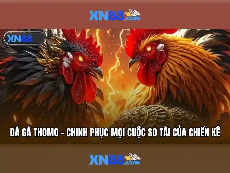 💎cầu nhà cái💎 💎cầu nhà cái💎