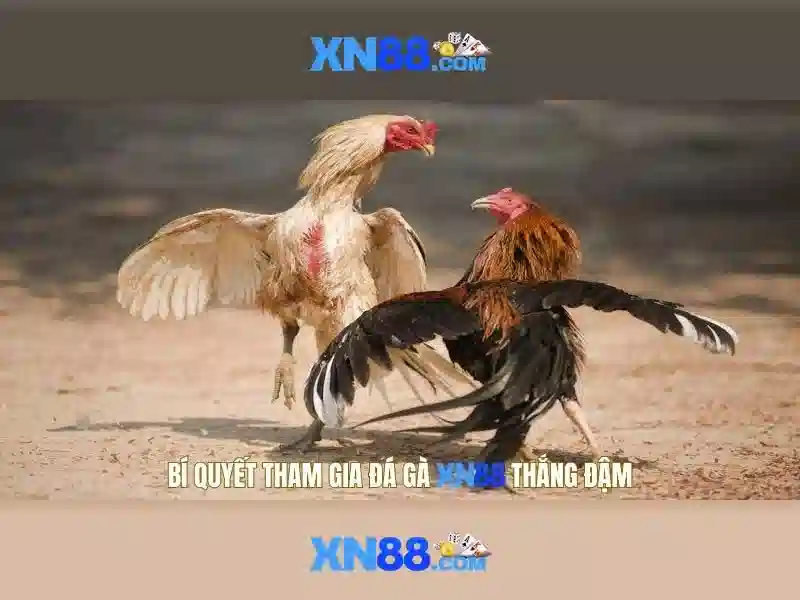 💎nha cai uy tin 86💎 💎nha cai uy tin 86💎