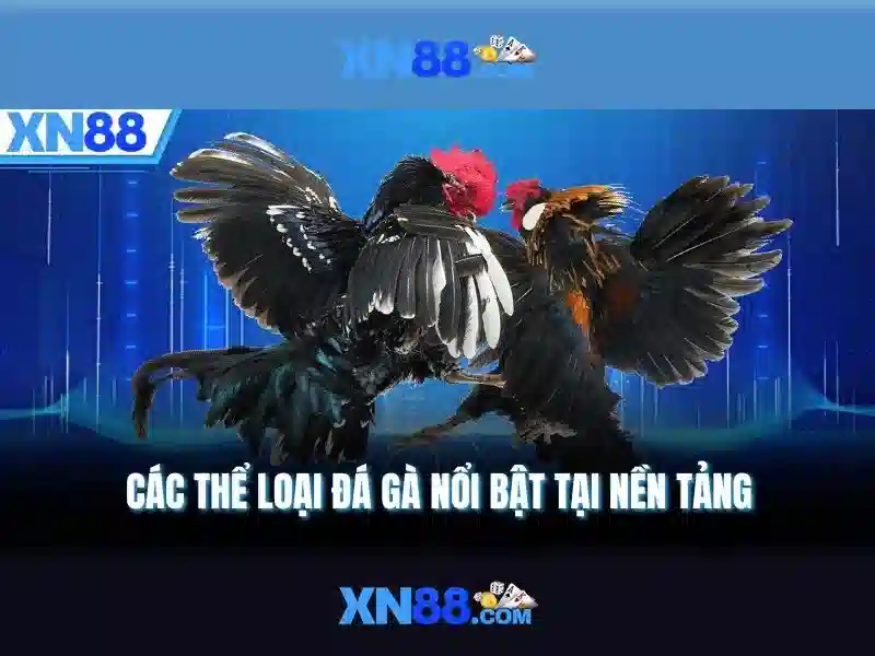 💎nha cai 3389💎 💎nha cai 3389💎