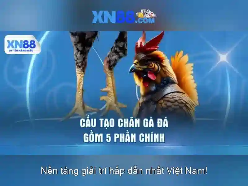 💎đánh gió bạc trứng💎 💎đánh gió bạc trứng💎