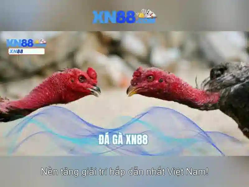 💎888 slot 13.112.150.135💎 💎888 slot 13.112.150.135💎