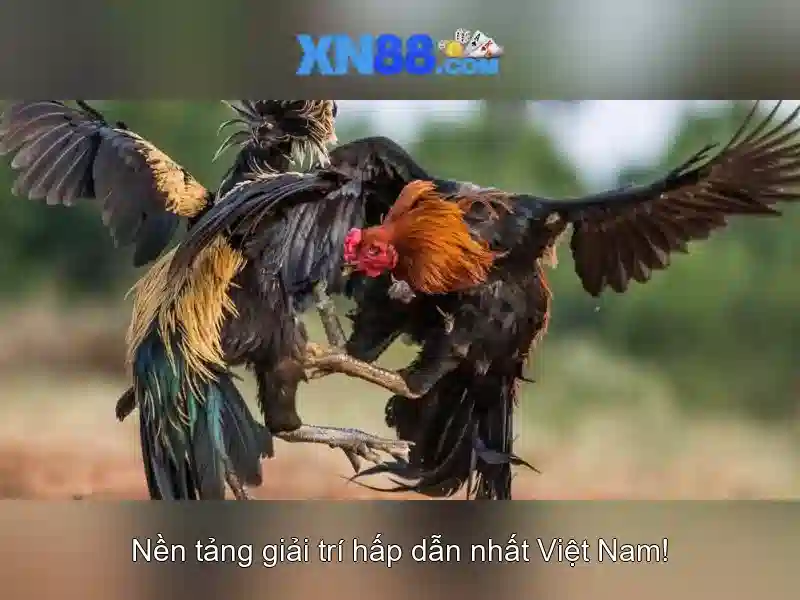 💎đánh dây chuyền bạc💎 💎đánh dây chuyền bạc💎