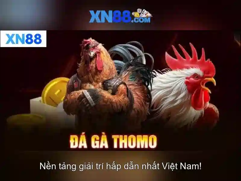 💎ty lê ca cuoc euro💎 💎ty lê ca cuoc euro💎