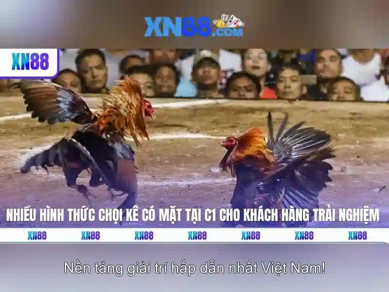 💎nhà cái uy tín số 1.com💎 💎nhà cái uy tín số 1.com💎