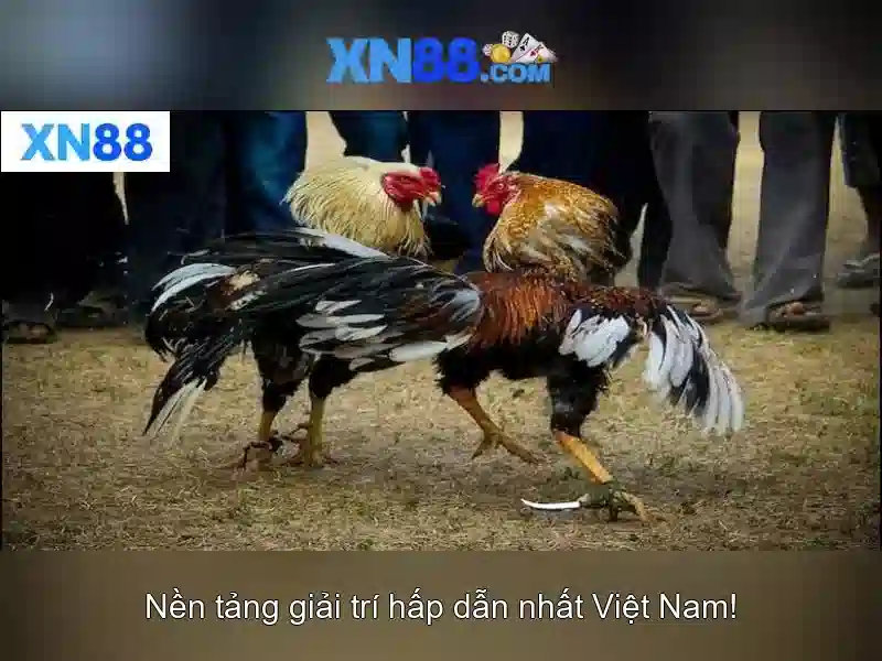 💎slot nigeria limited💎 💎slot nigeria limited💎