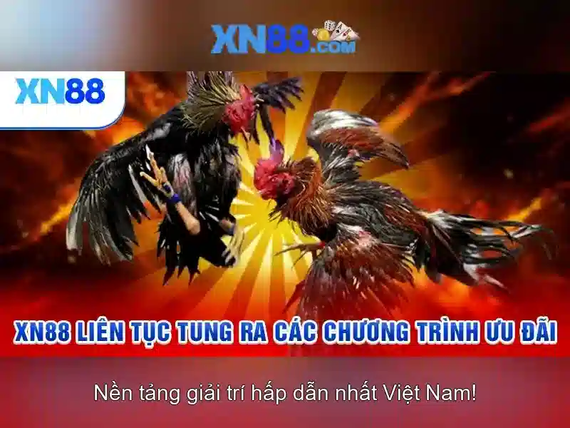 💎top 10 nhà cái uy tín nhất hiện tại💎 💎top 10 nhà cái uy tín nhất hiện tại💎
