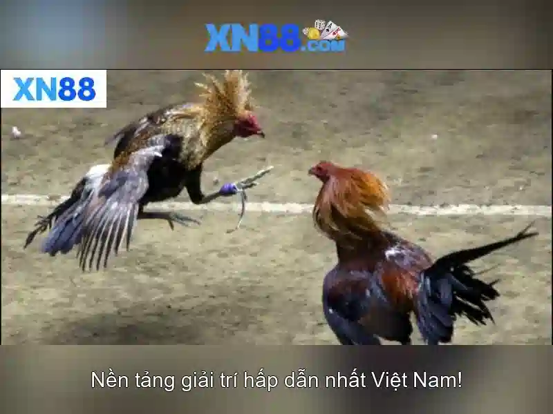 💎paduka slot💎 💎paduka slot💎