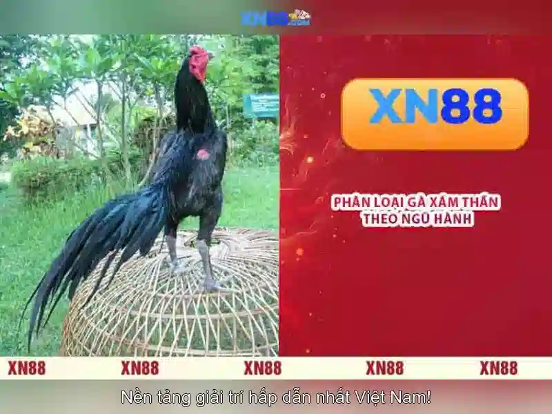 💎taco brothers derailed slot free play💎 💎taco brothers derailed slot free play💎