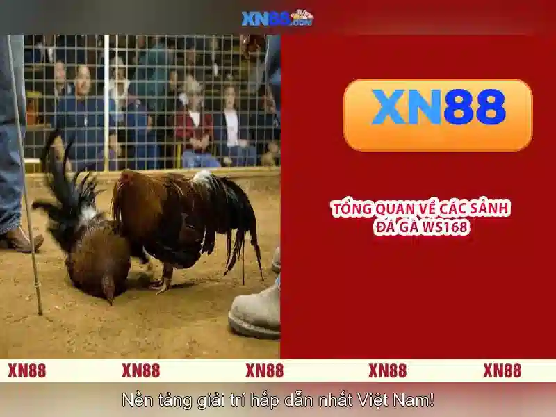 💎billionaire casino slots 777 free chips💎 💎billionaire casino slots 777 free chips💎